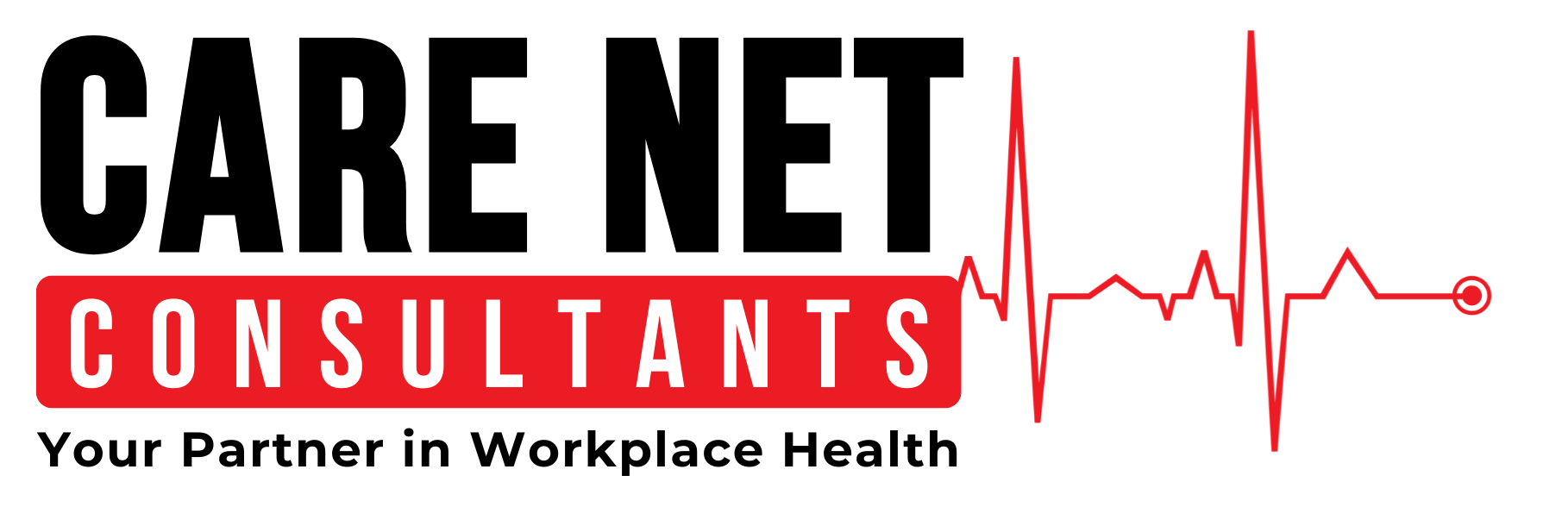 Care Net Consultants logo