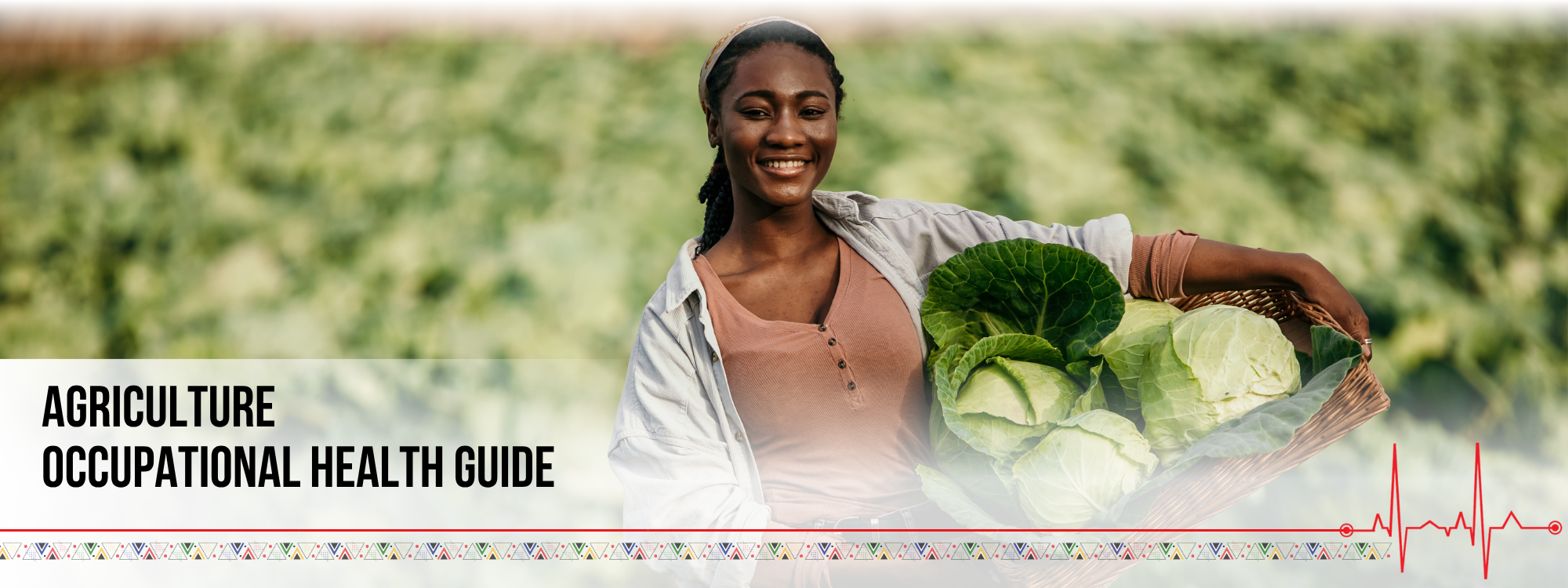 Agriculture Occupational Health Guide banner