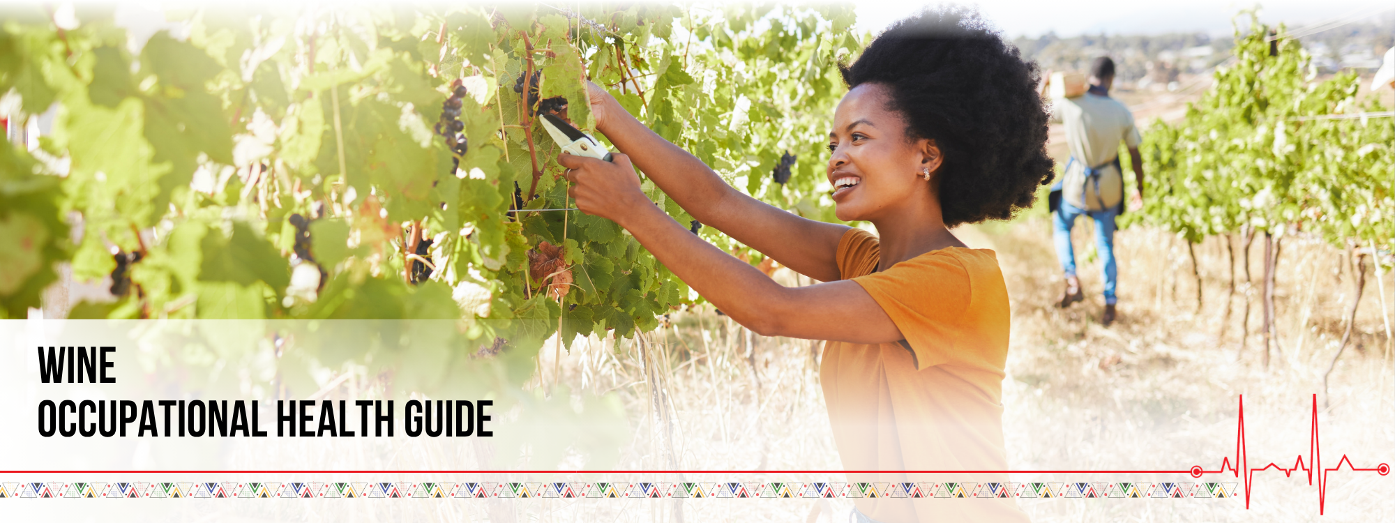 Wine Industry Occupational Health Guide banner