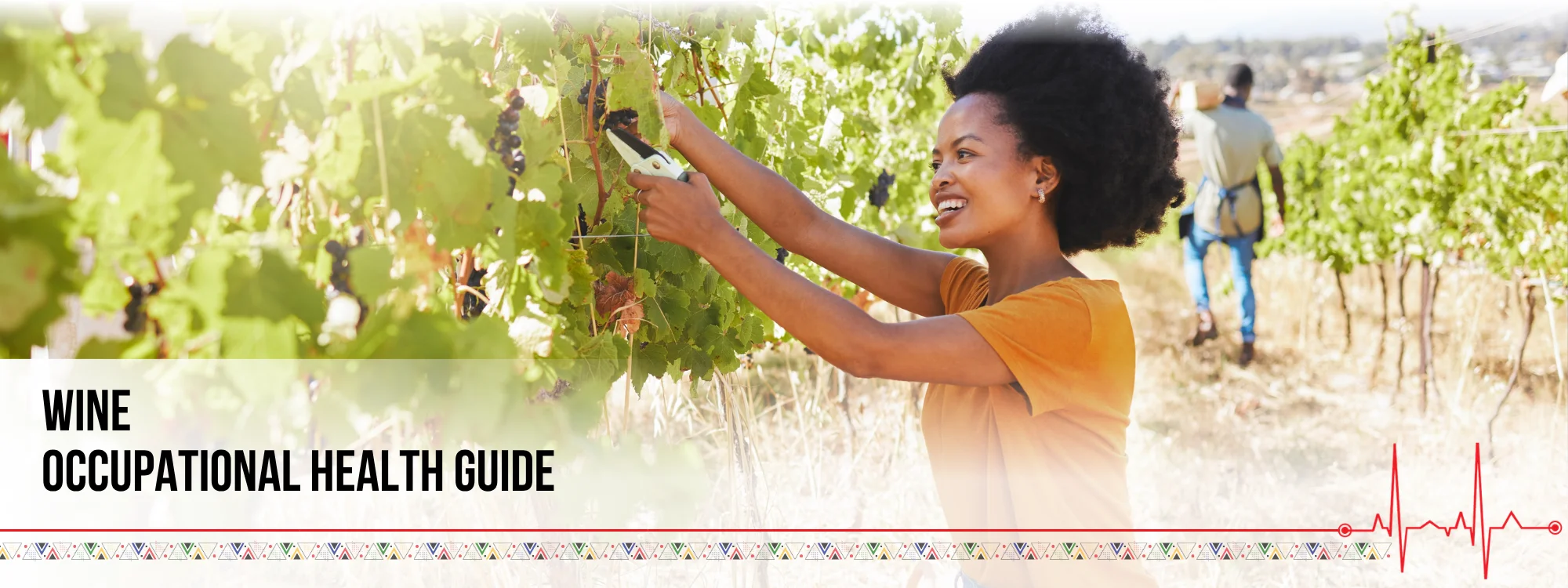 Wine Industry Occupational Health Guide banner